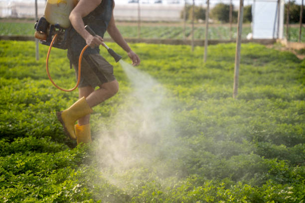 Best Mosquito Control Services  in Beale Af, CA