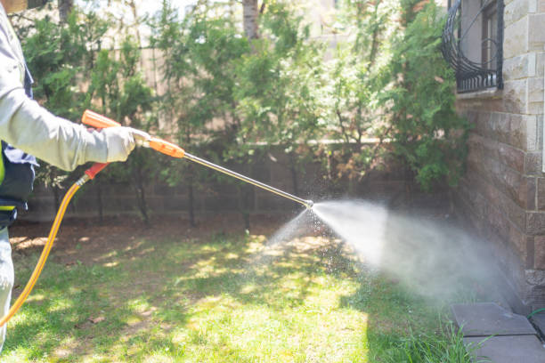 Best Pest Prevention Services  in Beale Af, CA