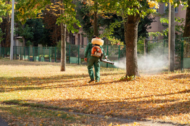 Best Wasp Removal Services  in Beale Af, CA